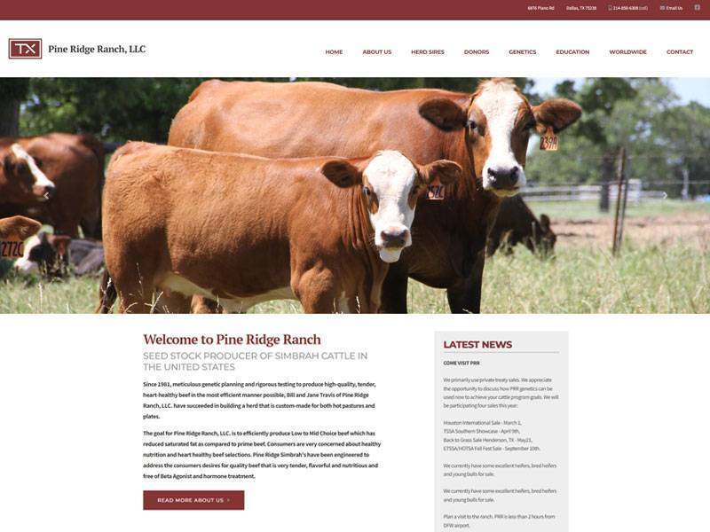 Pine Ridge Ranch